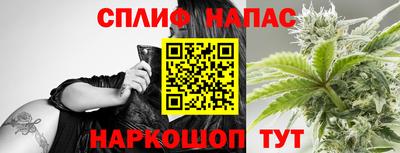 шишки Кимры
