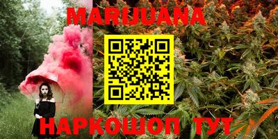 шишки Кимры