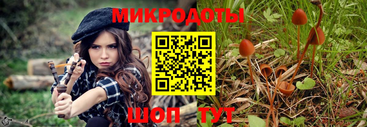 Псилоцибиновые грибы Psilocybe  Вход с VPN  Галлюциногенные грибы GOLDEN TEACHER  Комсомольск-на-Амуре 