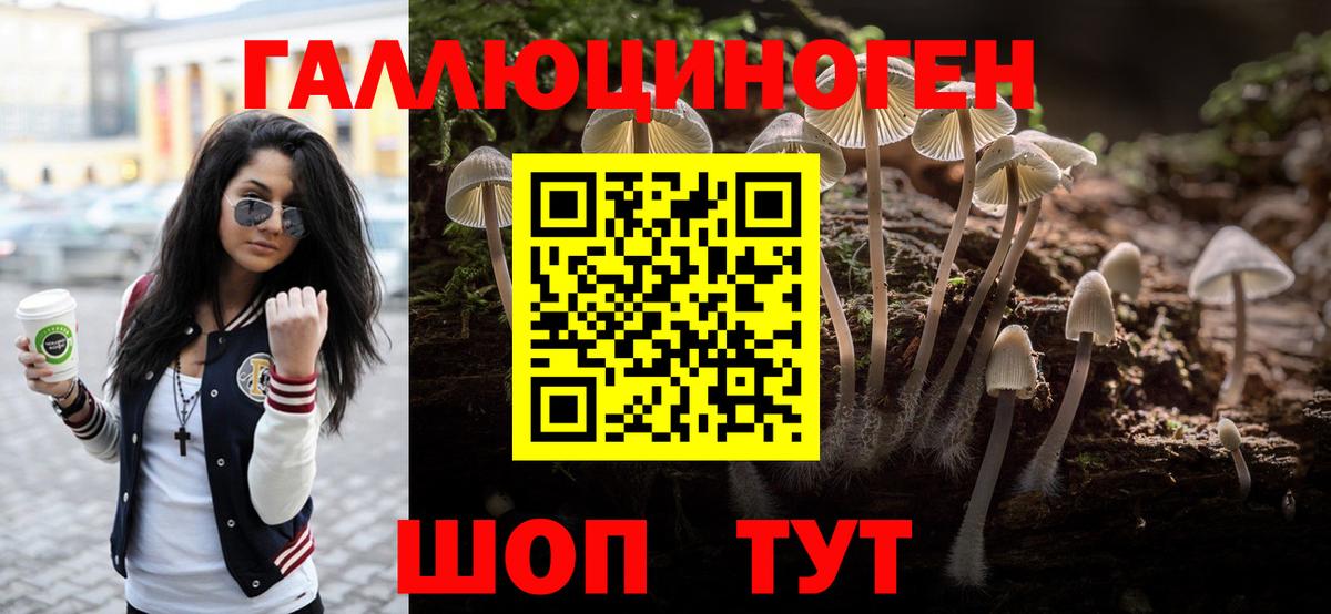 Псилоцибиновые грибы MAGIC MUSHROOMS Комсомольск-на-Амуре
